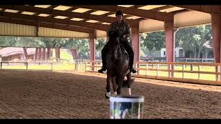 El Senador Dressage Clinic 5/24