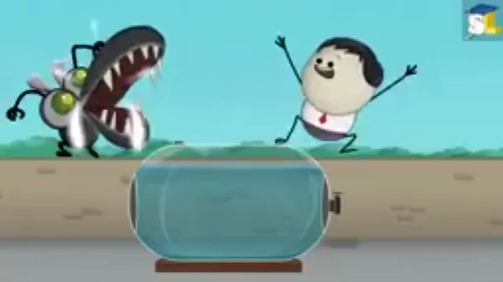 why is alum added to water?