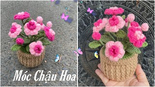 #212 Crochet flower | Cách Móc Chậu Hoa Len Mini Để Bàn  | Dương Liễu Handmade