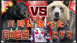【食後レビュー】ヒグマとツキノワグマ、どっちの方が美味しいのよ！？