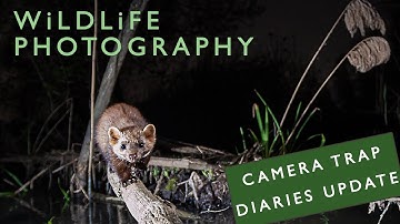 DSLR Camera Trap Diaries - Pt5 - Update