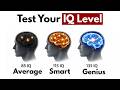Test Your IQ In 3 MIN 