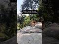The BEST Chiang Mai Day Trip | Hiking to the AMAZING Jungle Temple Wat Pha Lat #thailand #travelvlog