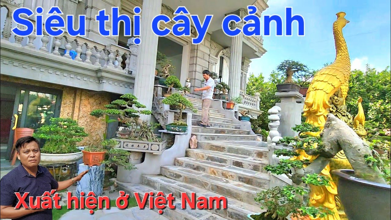 Tin mới !.. Lần đầu tiên xuất hiện siêu thị cây cảnh ở Việt Nam 