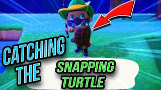 Catching the Snapping Turtle | Animal Crossing New Horizons (Quick Tips) screenshot 5