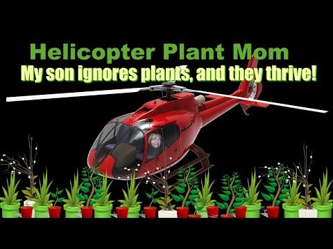 Helicopter Plant Mom - Stop Hovering &amp; Cactus Will Bloom!