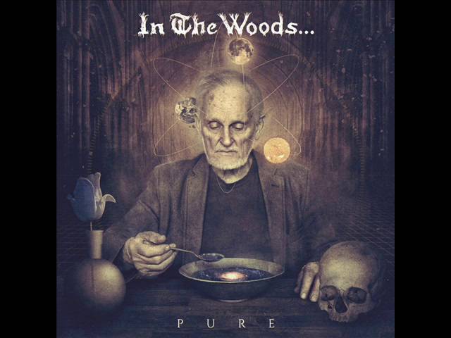 In The Woods... - Cult Of Shining Stars