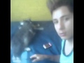 Cómo entrenar a tu gato