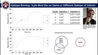 Distinctive Binding Mechanism of Camelid VHHs to Intimin of Enterohemorrhagic E. coli O157:H7