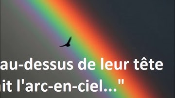 Qui sont les 24 ANCIENS de l