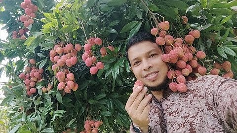 User Create on Oracle Database(SQL-Controlling User Access)