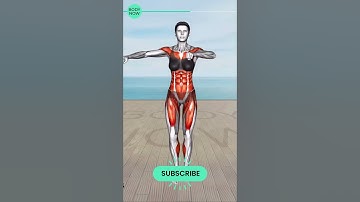 This Exercise Shrinks Lower Belly Quickly 💪⚡