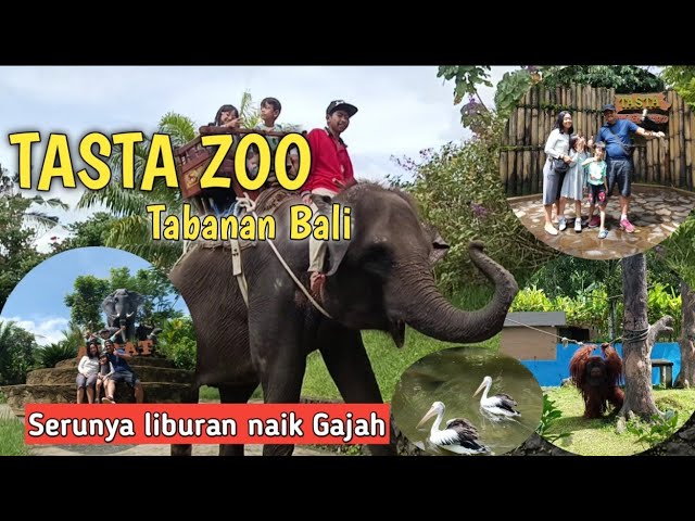 TASTA ZOO || Taman Satwa Tabanan Bali || serunya naik Gajah & keliling melihat bermacam Binatang class=