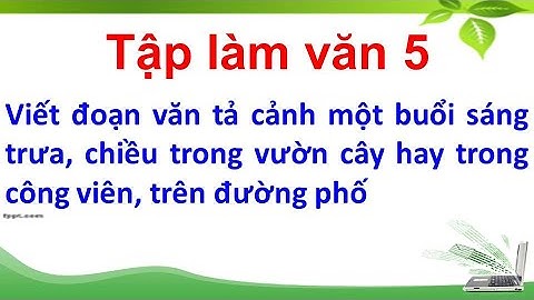 Viết đoạn văn tả cảnh một buổi sáng trưa, chiều trong vườn cây hay trong công viên, trên đường phố
