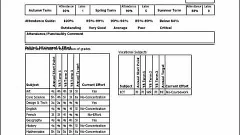 Academic Mentoring.wmv