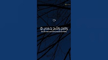 سورة الرحمن القارئ  ياسر الدوسري #قرآن