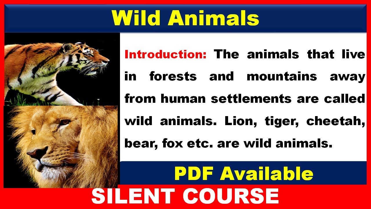 जंगली जानवर पर निबंध - Essay on Wild Animals In Hindi | Wild Animals Essay  In Hindi - YouTube
