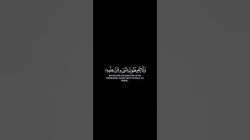 #قرآن كريم #سورة_البقرة #اية_الكرسي #احمد_العجمي #كرومات_قرآن