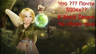 : Black Desert online    !