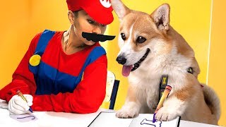 Captain America And Mario Go To School With Happy Dog