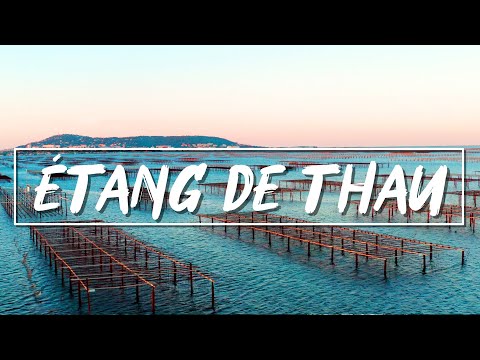 ÉTANG DE THAU - HÉRAULT