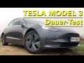 Tesla Model 3: Dauertest-Auftakt