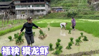 插秧十分辛苦娜姐制造快乐摸龙虾开心爆表受伤的总是雨哥