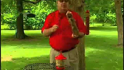 Bird Man Mel  Attracting Clinging Birds