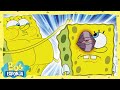 Bob Esponja y su ojo morado | Bob Esponja en Español