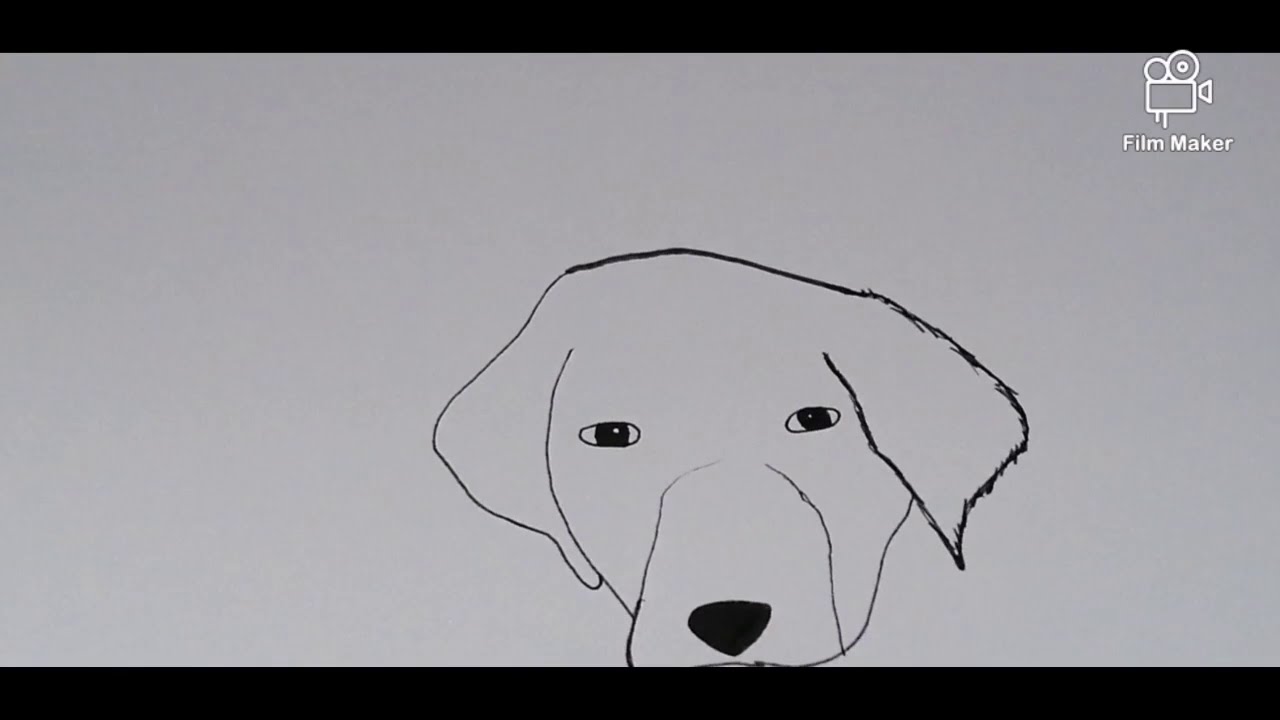 How to draw a labrador - YouTube