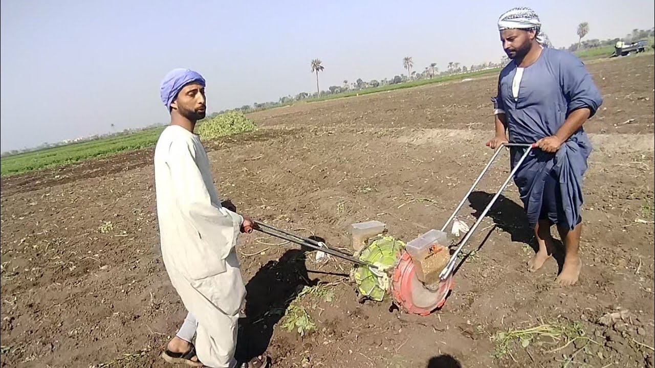 ده وقت السرعة والانجاز زراعة القمح بالبلانتر مكان البطاطس لقاء مع مزارعين القمح