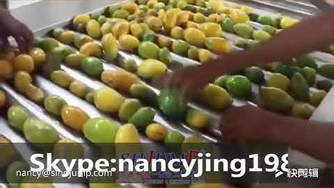 Mango puree processing line
