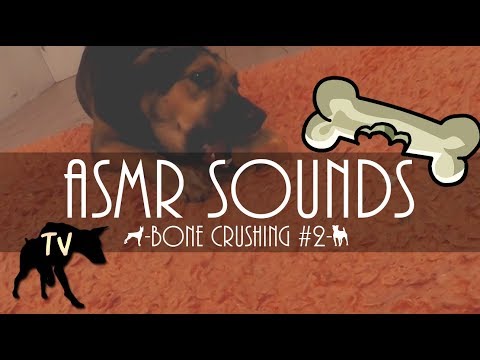 ASMR Bone Crunching