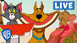 🔴 LIVE! Summer Adventures with Tom & Jerry, the Looney Tunes and Scooby-Doo!☀️⛱ | @WB Kids