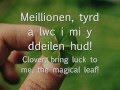 Meillionen  big leaves geiriau  lyrics