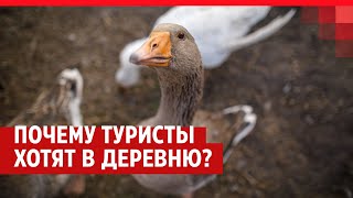 «Нам говорили: «Да кто сюда приедет?»»: тюменцы построили отель в глухой деревне для иностранцев