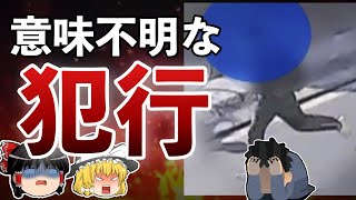 【ゆっくり解説】19歳が起こした猟〇的な事件【立川ホテル男女〇傷事件】