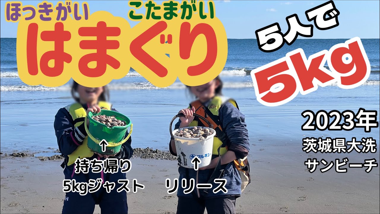 【潮干狩り2023】ハマグリ 大洗 サンビーチ