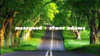 Music relax | mosswood - stave adams | music sinematik | musik cinematic | musik santai | instrumen