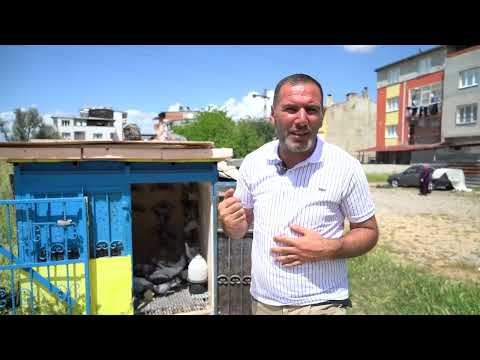 ผลสลากกินแบ่งรัฐบาล วันที่ 1 พย. 2567