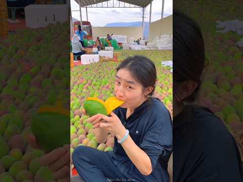 Amazing sweet mango