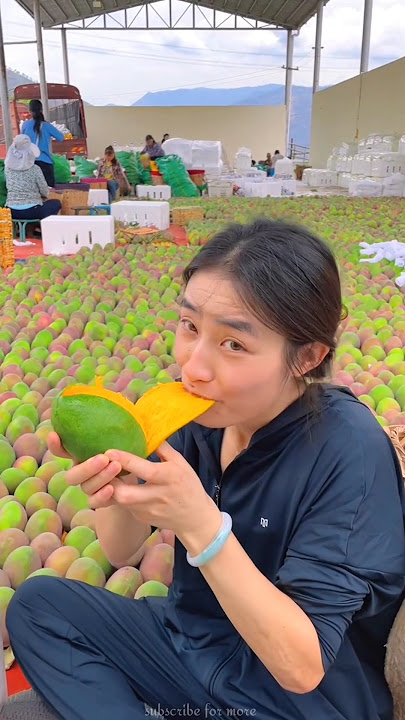 Amazing sweet mango 🥭🥭 | Ripe mango fruit #shorts #mango #youtubeshorts