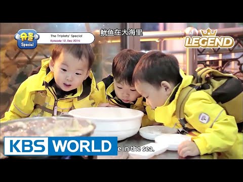 The Return of Superman - The Triplets Special Ep.12 [ENG/CHN/2017.07.28]