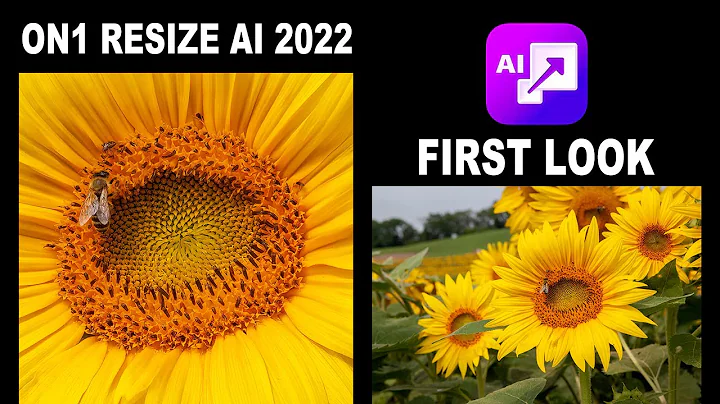 Unlock Your Editing Potential with ON1 Resize AI