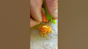 Survival Skills: Fire From a Broken Lighter in Extreme Conditions #survival #camping #lifehacks