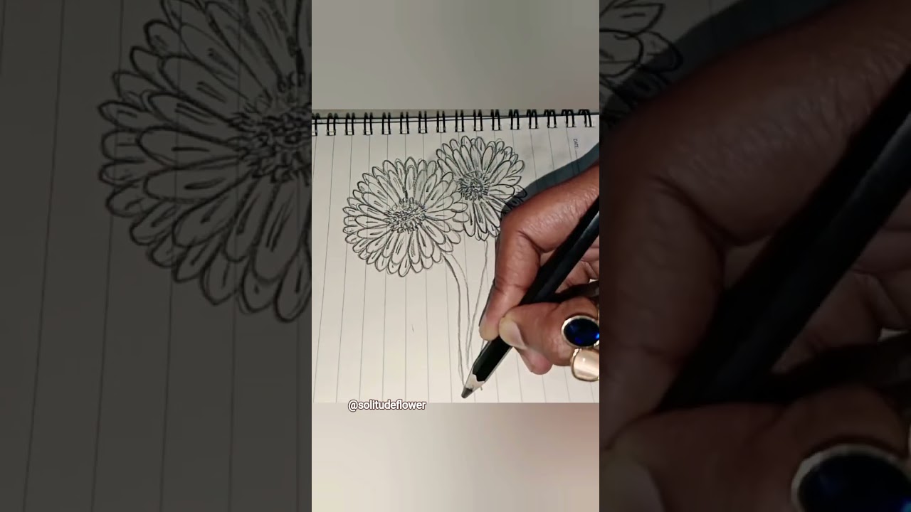 “Daisy Flower Sketch with 8B Pencil | Easy Realistic Shading | Beginner Friendly Drawi