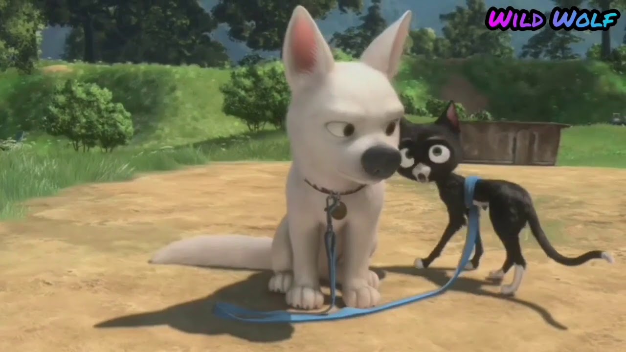 Вольт: Клип 