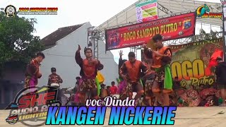 KANGEN NICKERIE voc Dinda jaranan Rogo Samboyo Putro - Shafira audio pro
