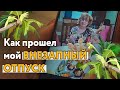 Спасли черепашку! Рассказываю про отпуск и показываю фотографии!