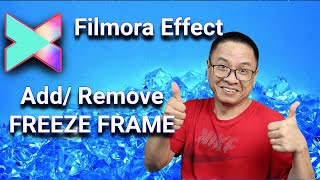 Filmora X Effects - Add/Remove Freeze Frame In Filmora